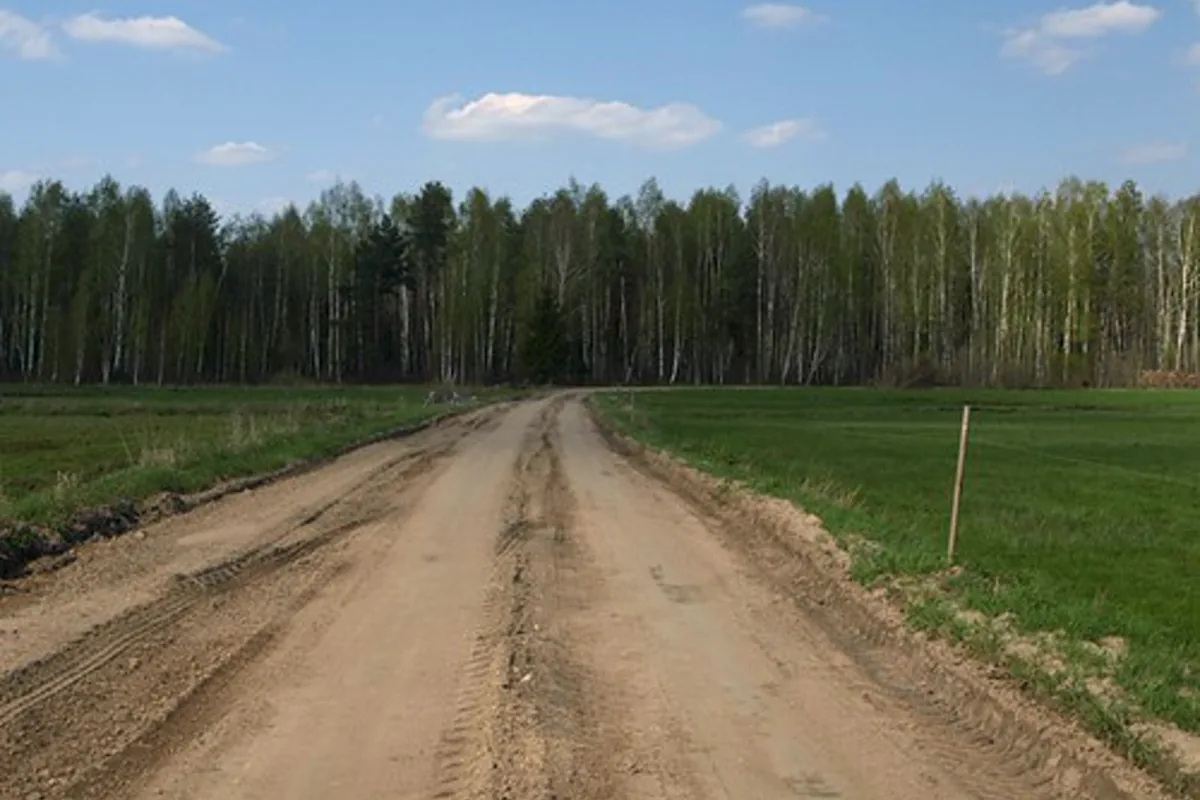 Unpaved access road between open fields leading to a tree line
